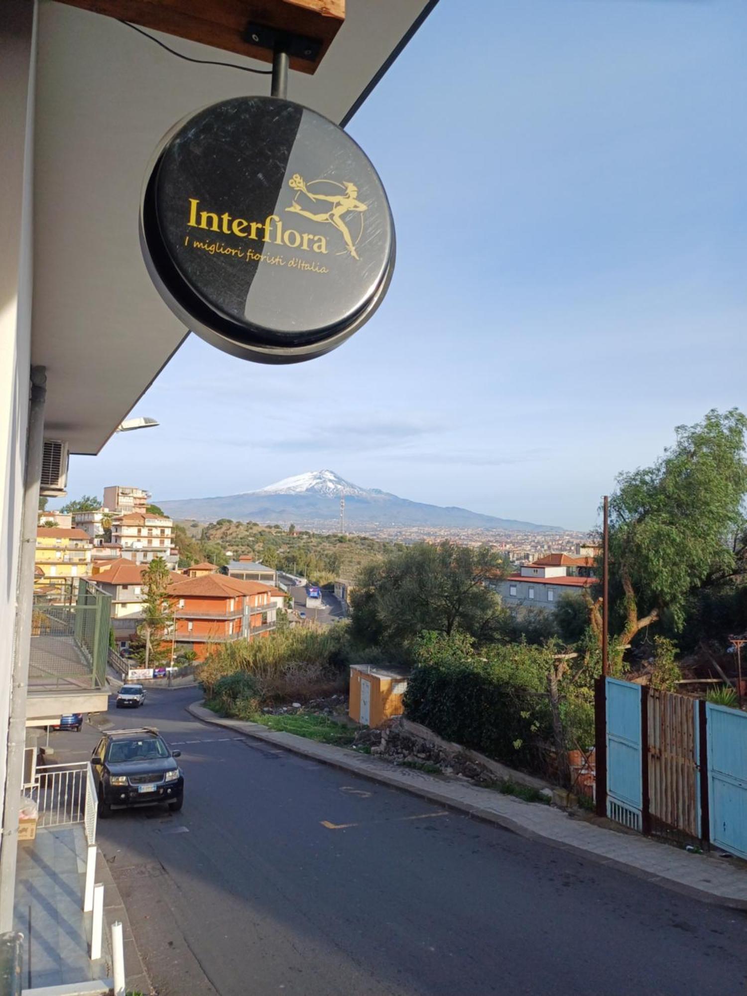 Dimora San Giorgio Catania Apartment Exterior photo